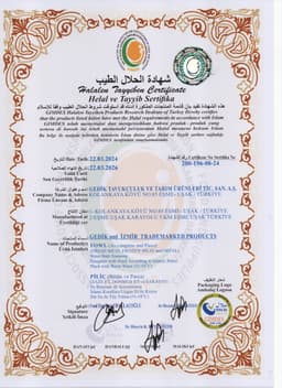 GEDİK PİLİÇ