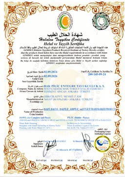 BAKPİLİÇ