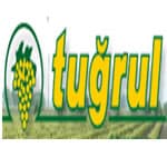 TUĞRUL