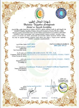 ERİŞ