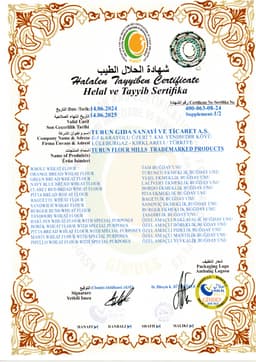 TURUN FLOUR MILLS