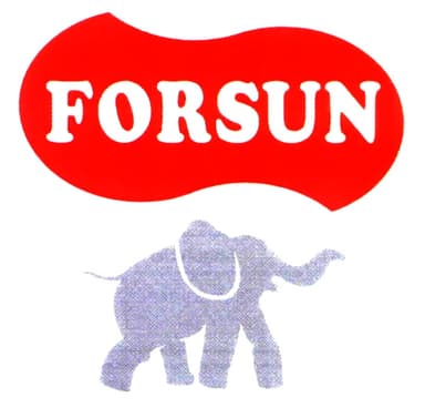 FORSUN
