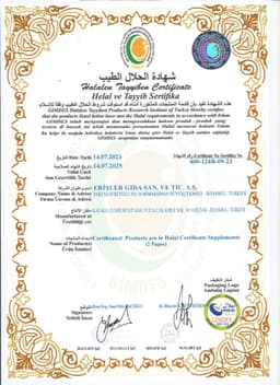 BEYLİK