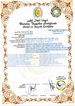 AYDIN