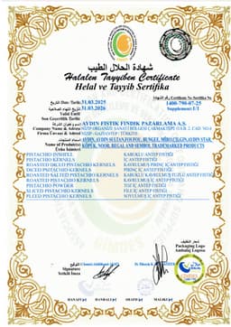 AYDIN SULTAN