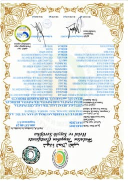 SARI PAPATYA