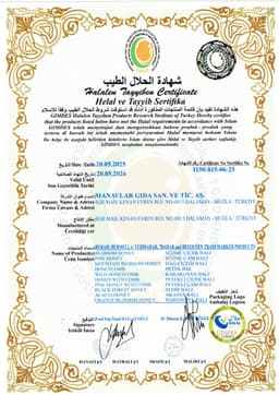7BAHAR
