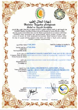 AL TAZEJ