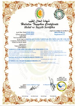 BAĞIŞLAR ELMAS