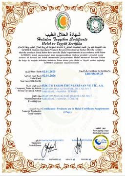 VİNE CHOİCE