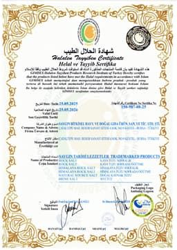 SAYGIN TARİHİ LEZZETLER