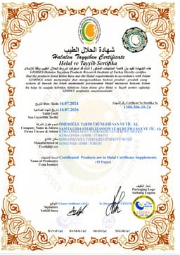 SANİTA SPİCE