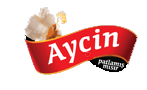 AYCİN