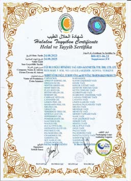 EUROPE VİTAL