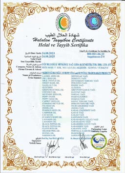 EUROPE VİTAL