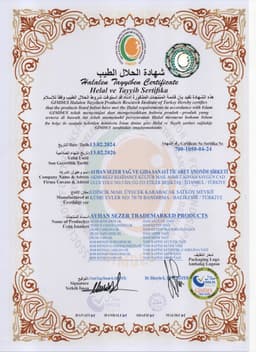 AYHAN SEZER