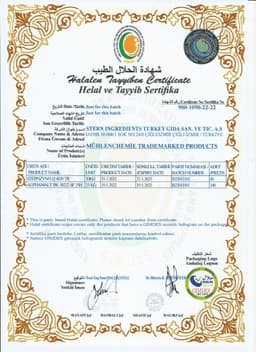 MÜHLENCHEMİE