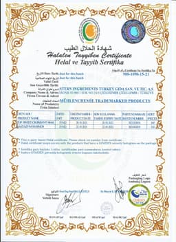 MÜHLENCHEMİE