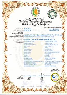 AYGIN