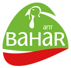 ANTBAHAR