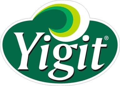 YİĞİT