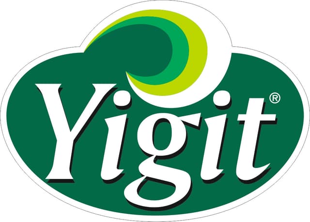 YİĞİT