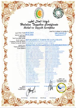 BOYRAZ LTD