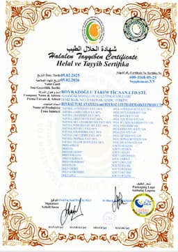 BOYRAZ LTD