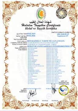 BOYRAZ LTD