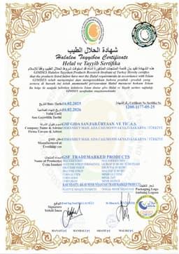 GSF GIDA