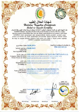 ASLANKAYA