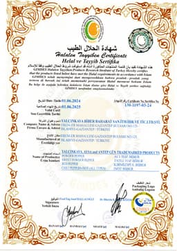 AYSA