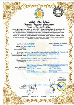 ANTEP GÜN