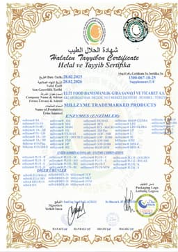 MİLLPAN