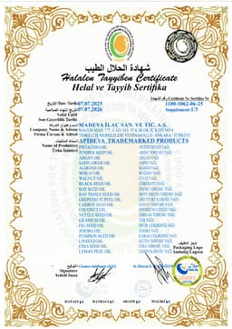 APİDEVA