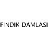 FINDIK DAMLASI