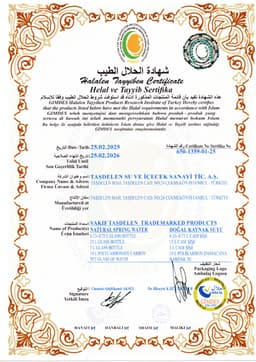VAKIF TAŞDELEN